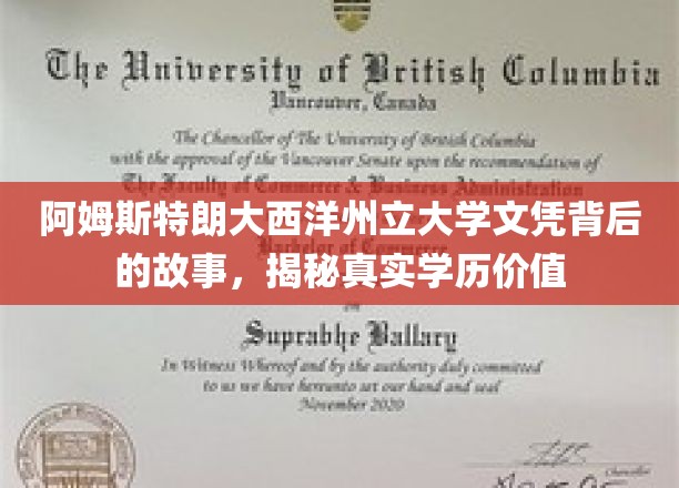 阿姆斯特朗大学文凭之谜，揭开学历背后的真实力量