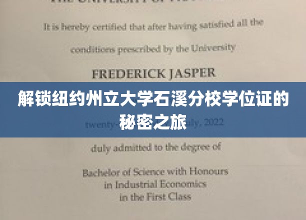 探索纽约州立大学石溪分校学位证背后的传奇之路