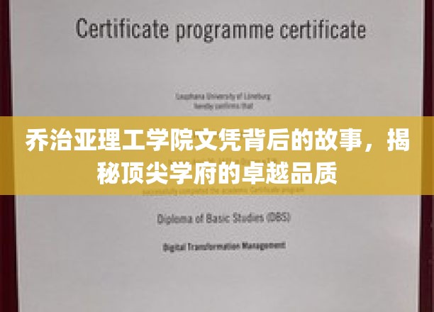 探寻乔治亚理工学院辉煌背后的卓越基因