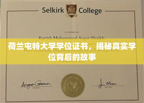 荷兰屯特大学学位证书，揭秘真实学位背后的故事