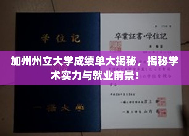 加州州立大学成绩单揭秘，揭示学术实力与职业前景！
