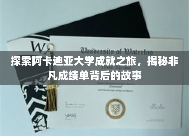 阿卡迪亚大学传奇之旅，解码卓越成就背后的精彩篇章