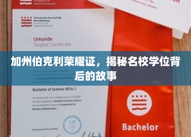 加州伯克利荣耀证，揭秘名校学位背后的故事