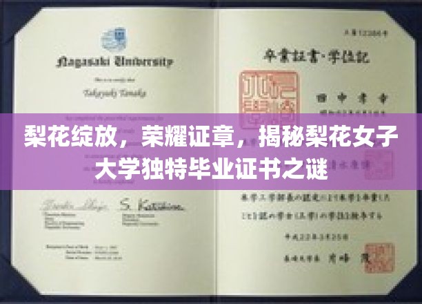 梨花荣光，探寻梨花女子大学毕业证书背后的独特魅力
