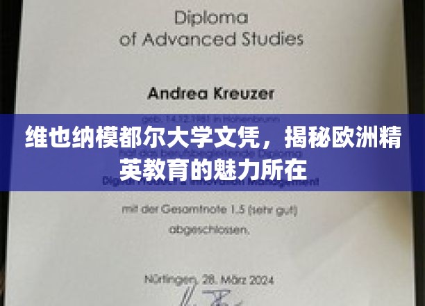 维也纳模都尔大学文凭，彰显欧洲精英教育的独特魅力