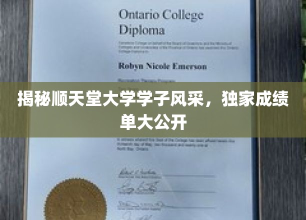 顺天堂大学精英风采大揭秘，学子成绩单惊艳亮相