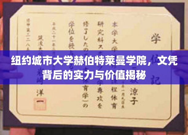 纽约城市大学赫伯特莱曼学院，文凭背后的实力与价值揭秘