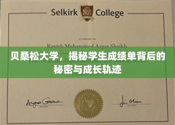 贝桑松大学，揭秘学生成绩单背后的秘密与成长轨迹