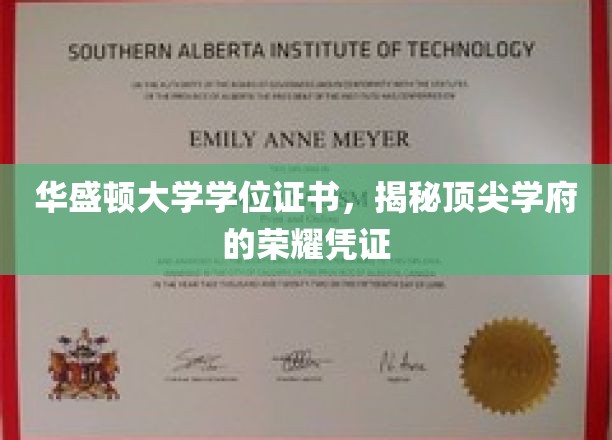 华盛顿大学学位证书，揭秘顶尖学府的荣耀凭证