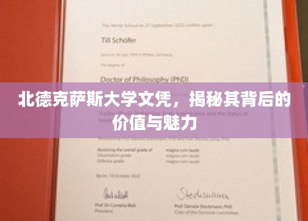 北德克萨斯大学文凭，揭秘其背后的价值与魅力