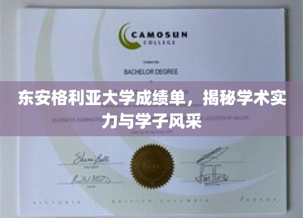 东安格利亚大学成绩单大揭秘，实力学子风采绽放校园