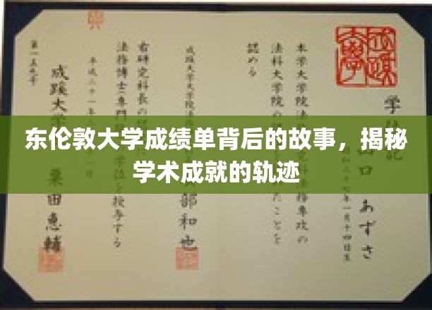 东伦敦大学成绩单背后的故事，揭秘学术成就的轨迹