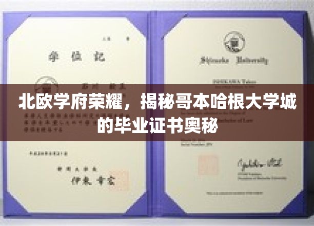 哥本哈根大学城荣耀解码，北欧名校毕业证书背后的故事