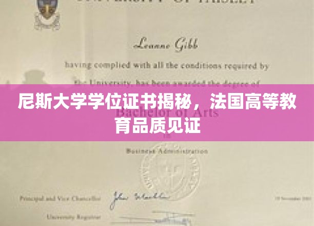 尼斯大学学位证书深度解析，法国高等教育的品质象征