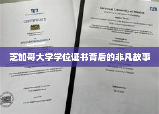芝加哥大学学位证书，探寻荣誉背后的传奇历程