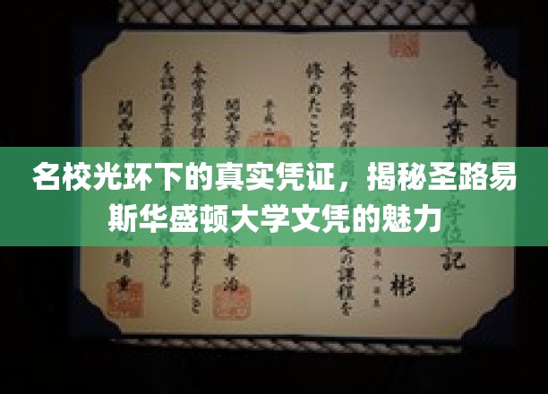 圣路易斯华盛顿大学文凭揭秘，名校光环背后的实力认证