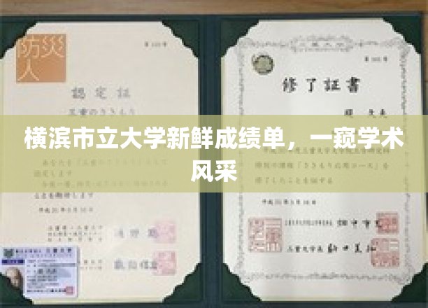 横滨市立大学新成绩单揭晓，学子风采映照学术未来