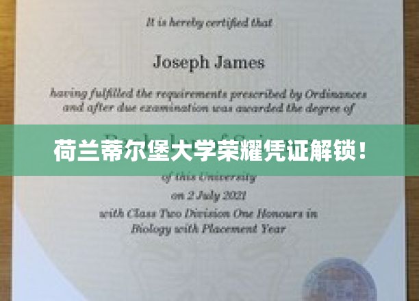 荷兰蒂尔堡大学荣耀证书揭秘之旅开启！
