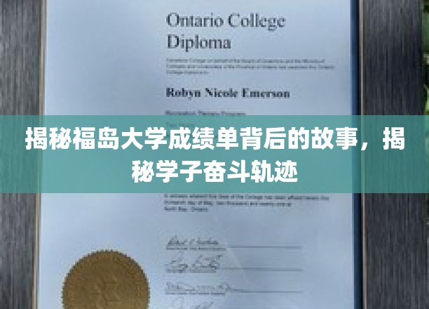 福岛大学成绩单解码，学子奋斗轨迹背后的青春传奇