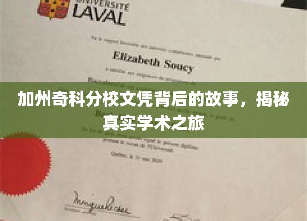 解码加州奇科分校，探寻文凭背后的学术传奇之旅