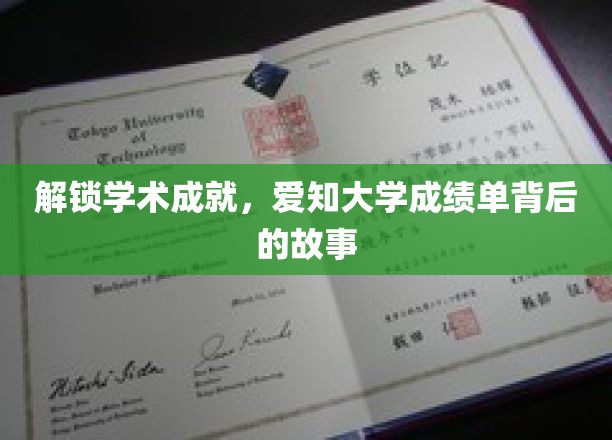 探索学术成就，爱知大学成绩单背后的故事