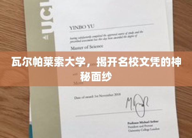 探寻瓦尔帕莱索大学，名校文凭背后的故事与魅力