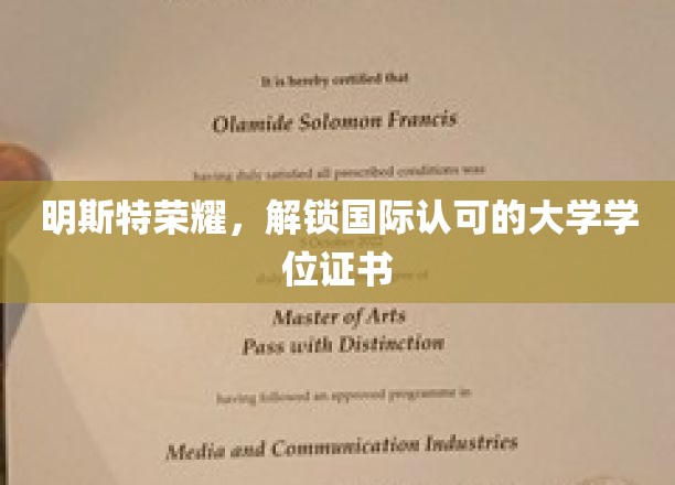 明斯特之光，国际认证学位，成就全球通行证