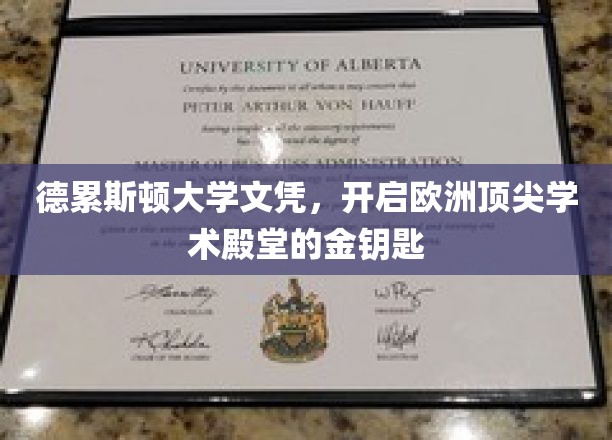解锁欧洲学术巅峰，德累斯顿大学文凭的荣耀之门