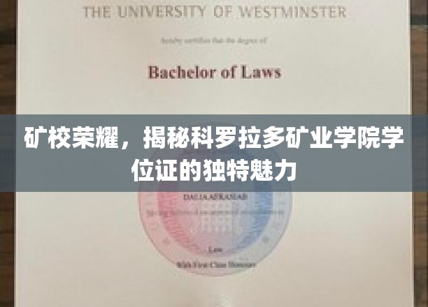 科罗拉多矿业学院学位证，探寻独特荣耀背后的故事