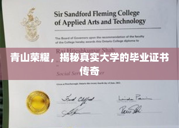 校园荣耀之路，揭秘高校毕业证书背后的故事