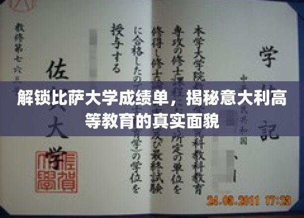 探秘比萨精英，一窥意大利高等教育风采