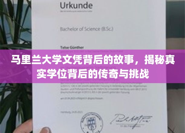 马里兰大学学位之谜，探寻传奇学历背后的奋斗与奥秘