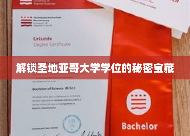 探寻圣地亚哥大学学位背后的独特魅力