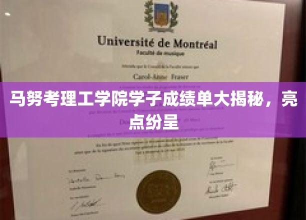 马努考理工学院学子成绩闪耀，惊喜连连揭秘！