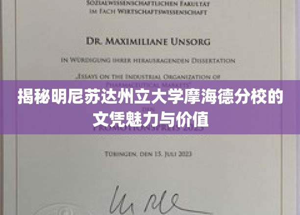 探索明尼苏达州立大学摩海德分校，文凭背后的非凡价值与独特魅力
