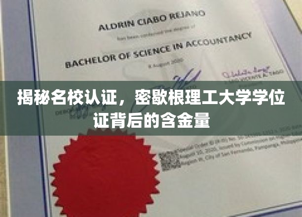 解码密歇根理工大学，学位证的非凡价值与全球认可