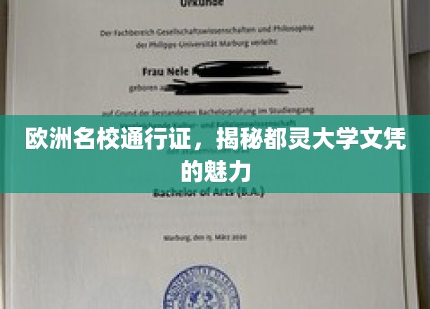 跨越欧洲的学术通行证，揭秘都灵大学文凭的独特吸引力