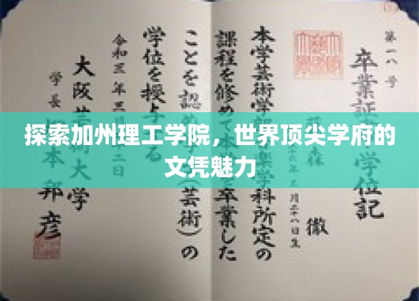 解码加州理工学院，顶尖学府背后的文凭魔力