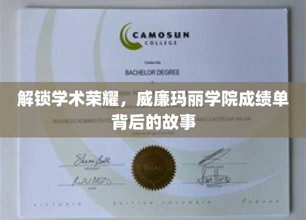 揭开威廉玛丽学院辉煌成就背后的神秘面纱