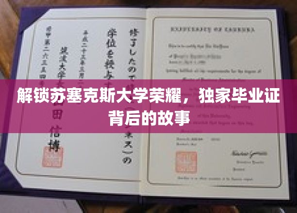 苏塞克斯大学荣耀揭秘，毕业证书背后的传奇故事