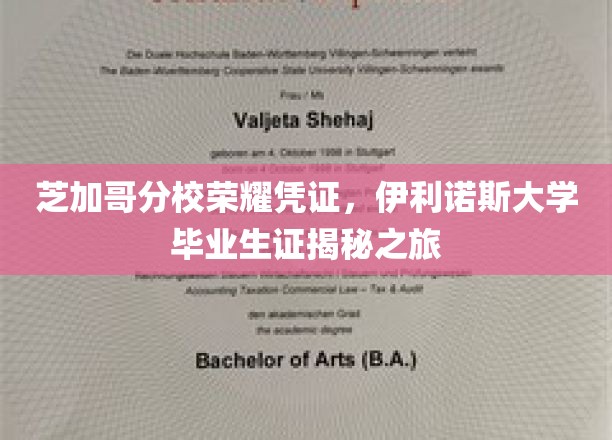 揭秘伊利诺斯大学芝加哥分校荣耀凭证：毕业生证背后的故事