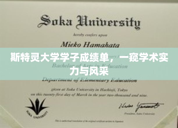 斯特灵学子风采展，揭秘学术实力背后的故事