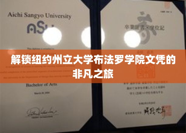 解锁纽约州立大学布法罗学院文凭的非凡之旅