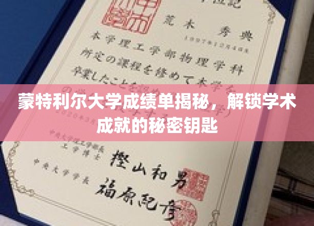 蒙特利尔大学成绩单揭秘，解锁学术成就的秘密钥匙