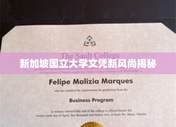 新加坡国立大学文凭新风尚揭秘
