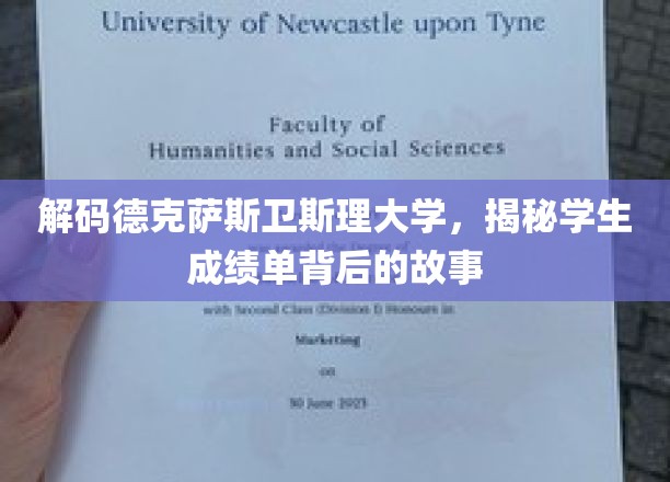 德克萨斯卫斯理大学成绩单揭秘，隐藏的学术奥秘大公开