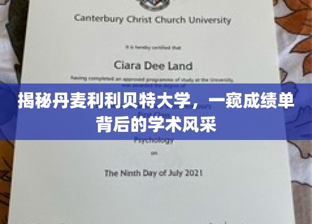 探寻丹麦利利贝特大学，成绩单下的学术魅力全景