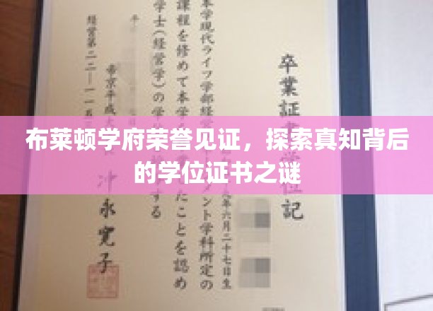布莱顿学府荣耀解码，揭秘学位证书背后的真知奥秘