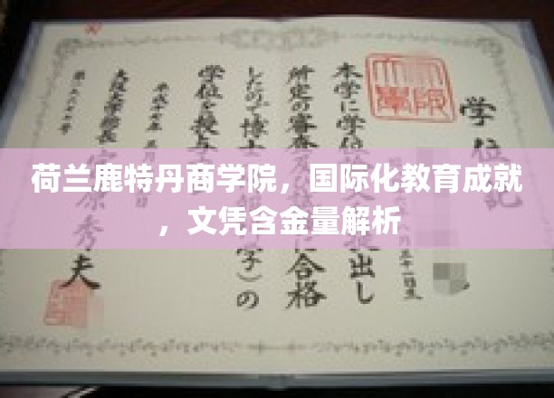 荷兰鹿特丹商学院，国际视野下的教育金牌之路