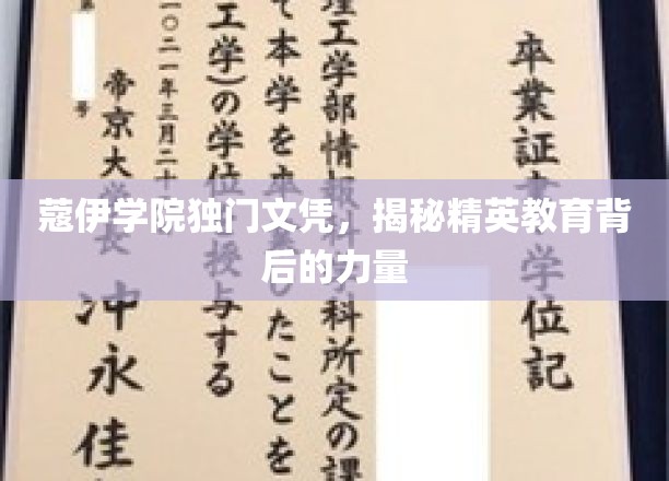 解码蔻伊学院，精英教育秘籍背后的独特力量